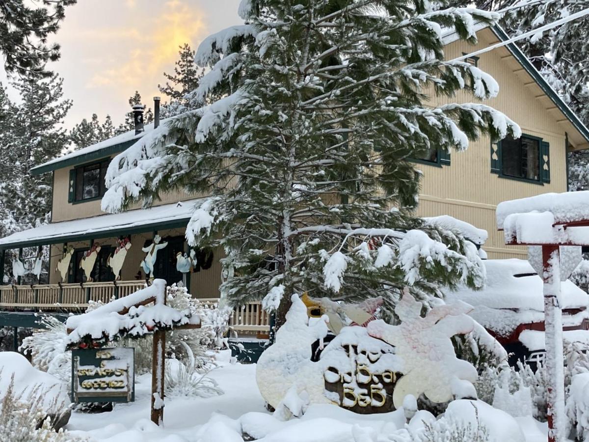 Pine Mountain Club The Old Bear Bnb מראה חיצוני תמונה